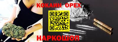 jwh Кинель