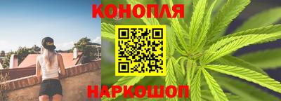 jwh Кинель