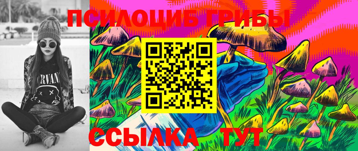 Псилоцибиновые грибы MAGIC MUSHROOMS  Псилоцибиновые грибы мицелий  где найти наркотики  Вход с VPN  Шали 